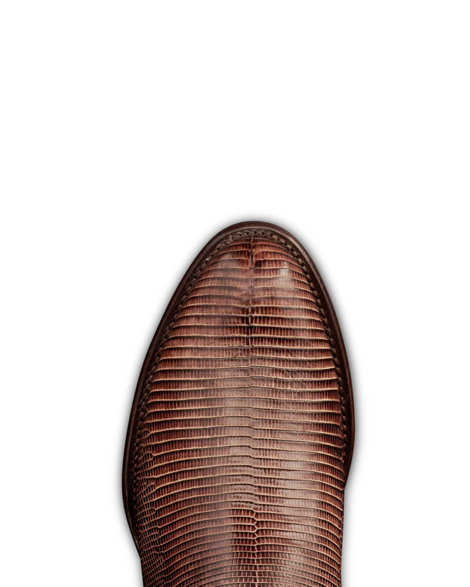 The Nolan - Image 12
