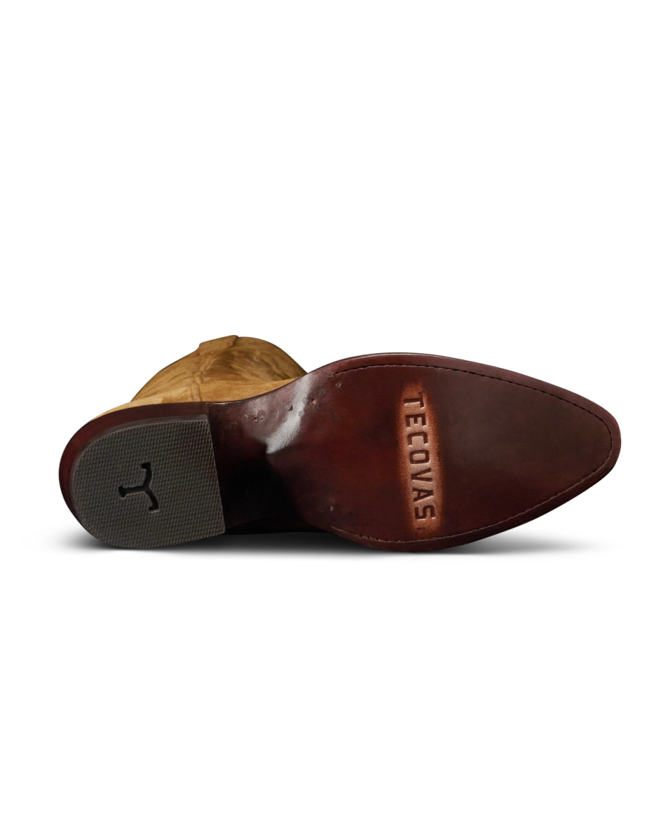 The Abby Cavalier - Image 66